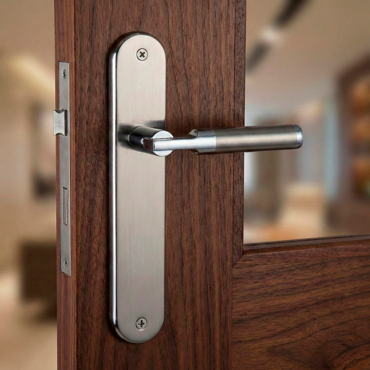 Poignée modèle « 1019 » avant-gardiste avec plaque ovale finition bicolore pour portes