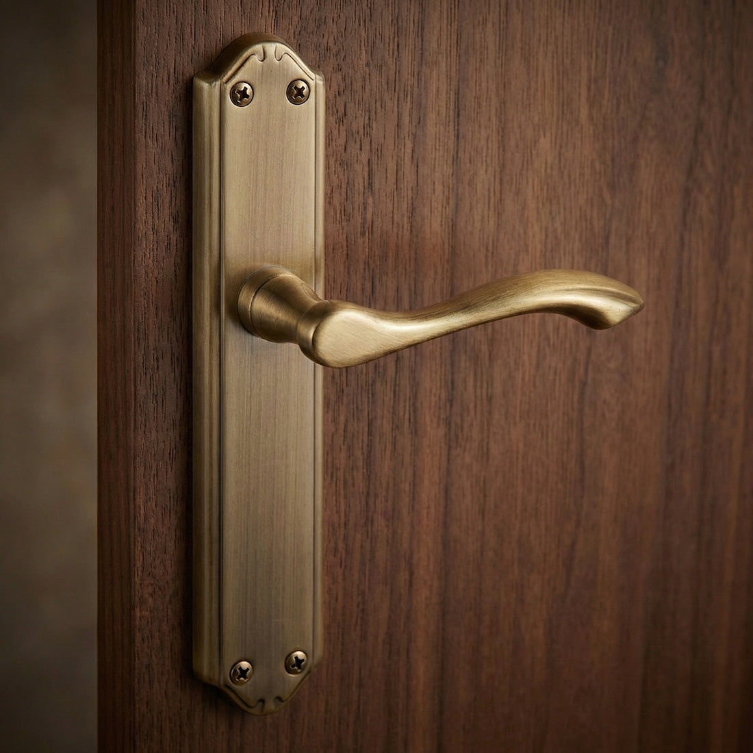 Poignée rustique modèle '341' finition cuir avec plaque ovale en zamak pour portes