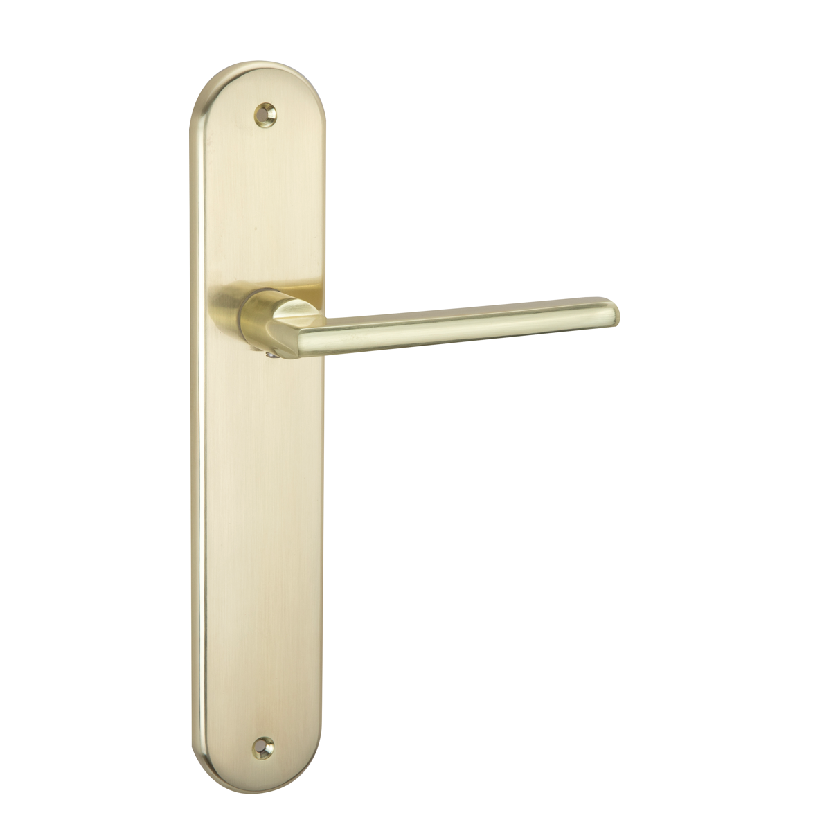 Poignée de porte plaque ovale pour location en aluminium doré satiné