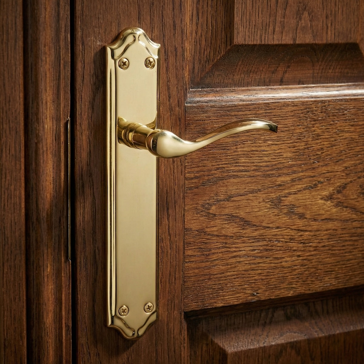 Poignée de porte modèle LOREA PB sur plaque en aluminium doré brillant