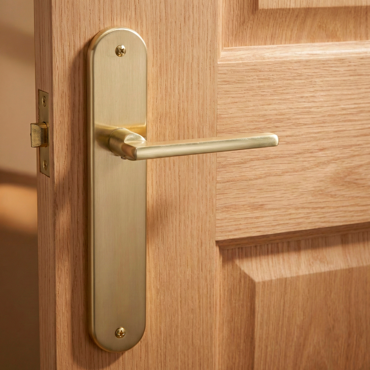 Poignée de porte plaque ovale pour location en aluminium doré satiné
