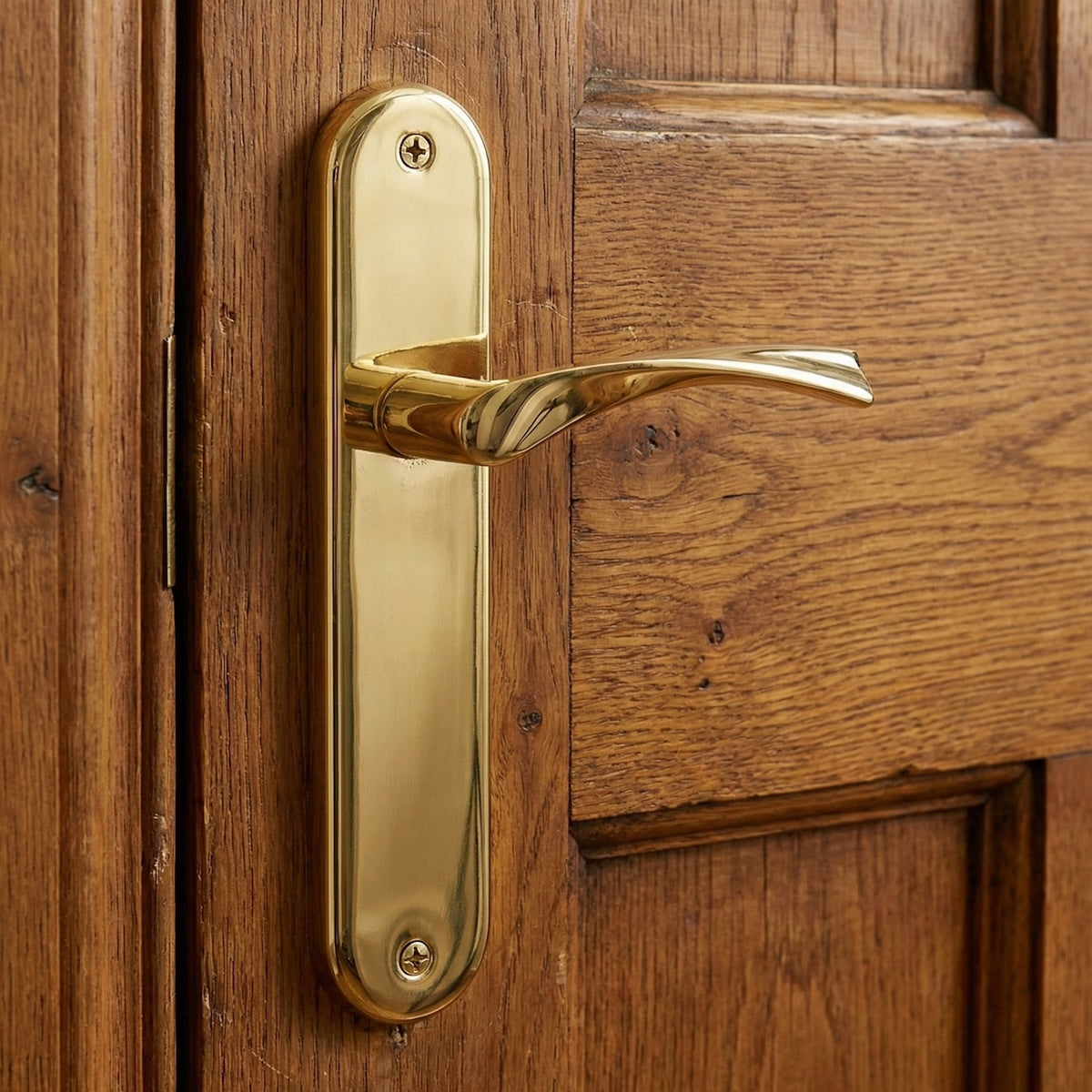 Poignée de porte modèle "130" en zamak avec plaque ovale, finition doré brillant