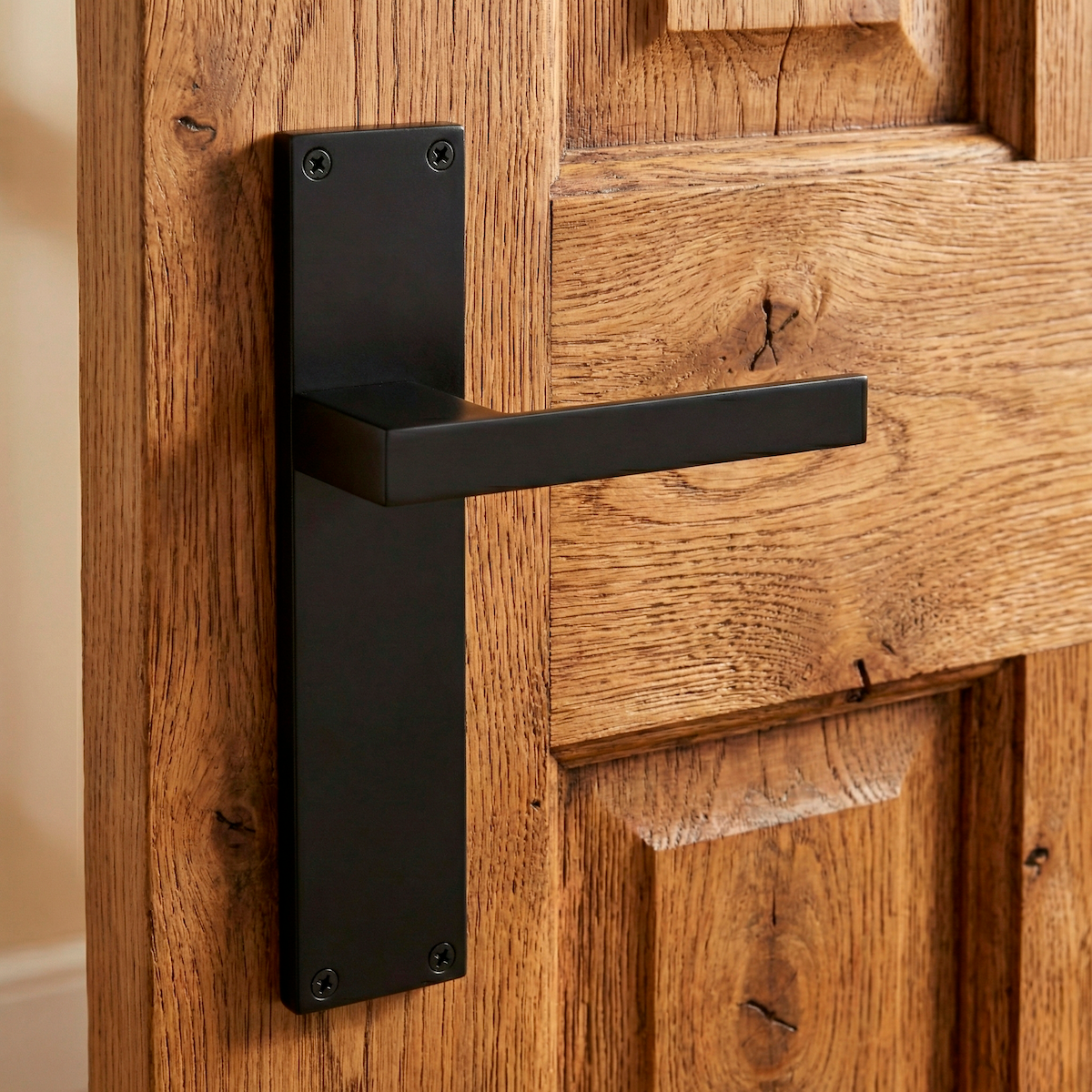 Poignée modèle « 220 » en zamak avec plaque rectangulaire finition noire pour portes
