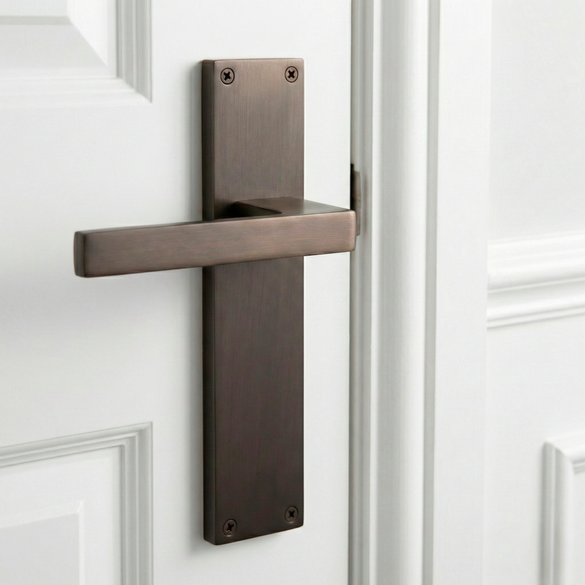 Poignée modèle "220" en zamak avec plaque rectangulaire finition graphite pour portes