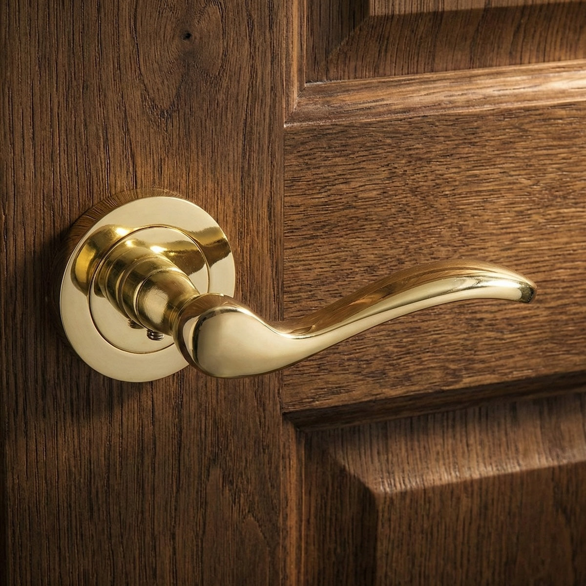 Poignée de porte en aluminium '3001' avec rosace ronde dorée brillante