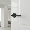 Poignée modèle 403 avec rosace ronde en acier inoxydable finition noire pour portes
