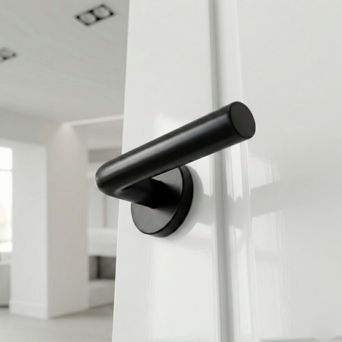 Poignée modèle 403 avec rosace ronde en acier inoxydable finition noire pour portes