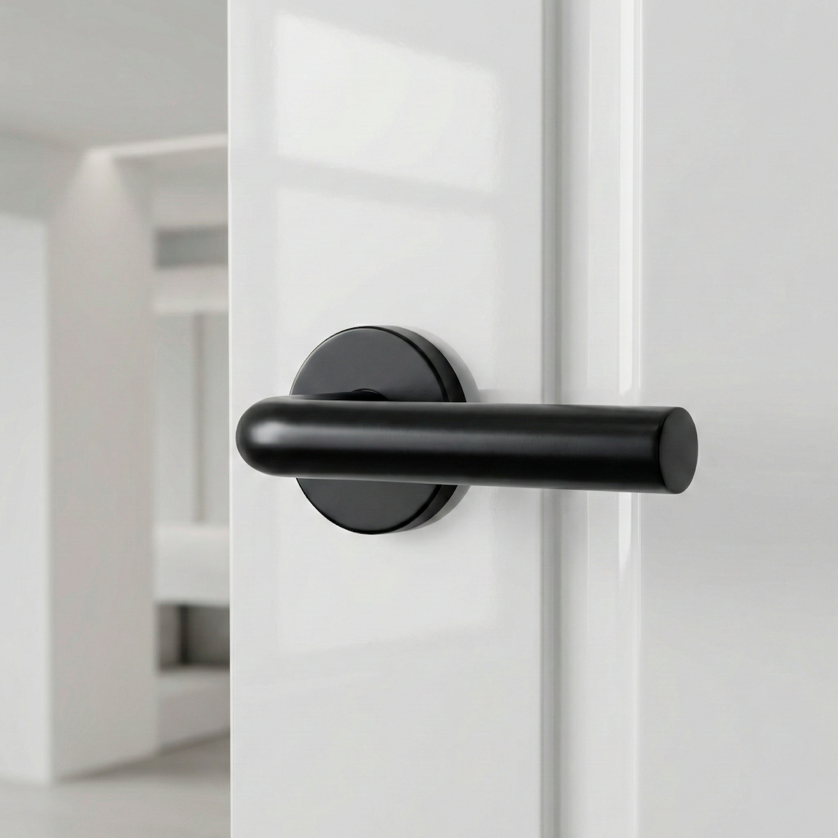 Poignée modèle 403 avec rosace ronde en acier inoxydable finition noire pour portes