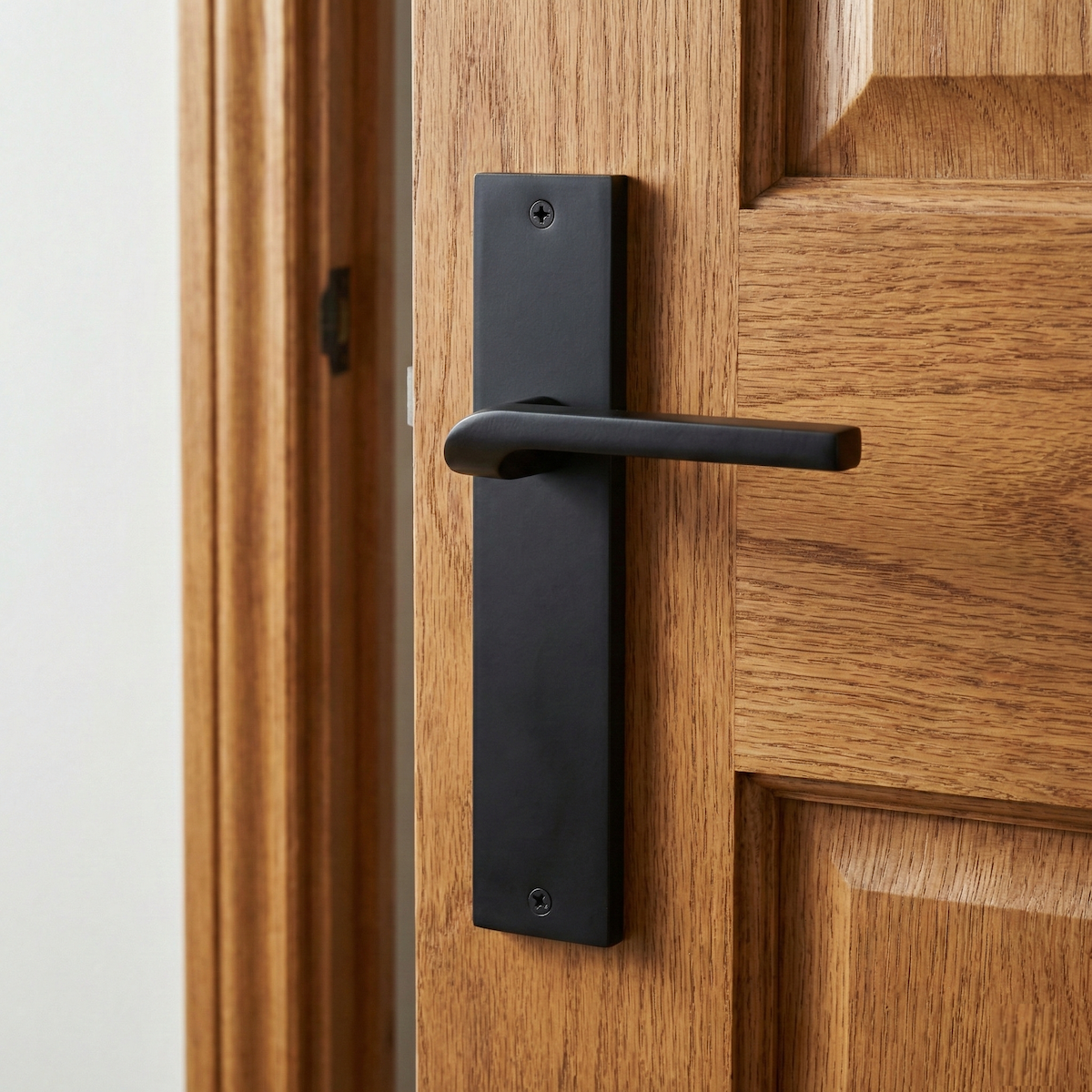Poignée modèle 559 avec plaque rectangulaire en zamak finition noire pour portes