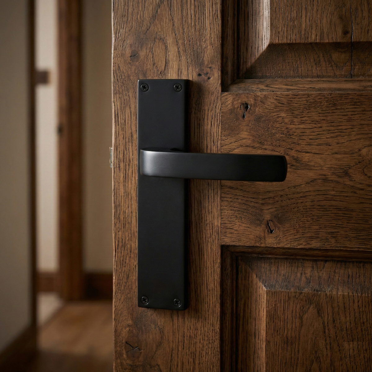 Poignée modèle '710' en zamak avec plaque rectangulaire finition noire pour portes