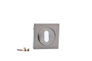 Béquille rosette carrée-ronde avec bouche ovale finition nickel satiné pour portes