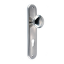 Poignée de porte à plaque ovale, bouton et rosace de clé finition nickel satiné mod 138