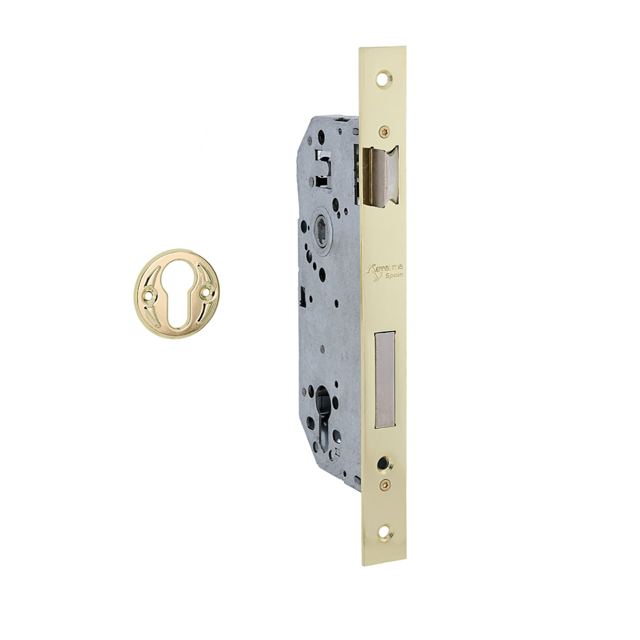 Serrure à encastrer de 50 mm pour cylindre européen, têtière plate avec entraxe de 85 mm, finition doré brillant