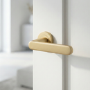 Bouton de porte à rosace ronde en aluminium R-210 doré mat